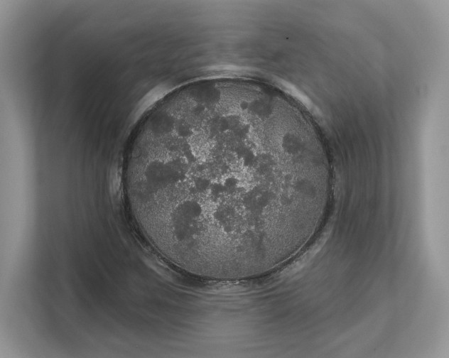 X0000111581259200907301357