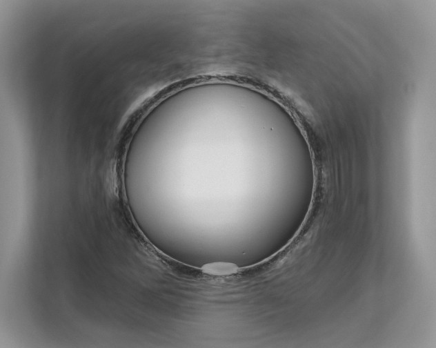 X0000111581262200907301357