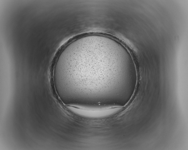 X0000111581264200907301357