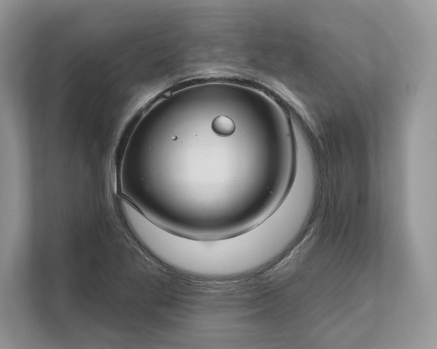 X0000111581269200907301357