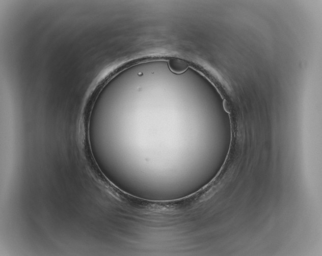 X0000111581270200907301357