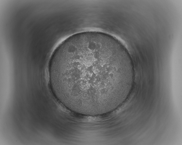 X0000111581271200907301357