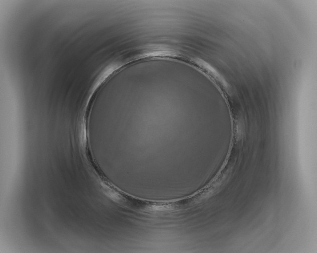 X0000111581274200907301357