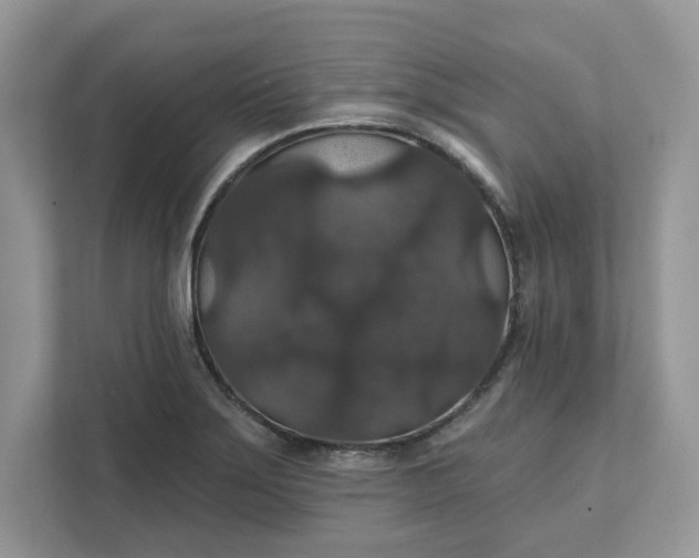 X0000111581275200907301357