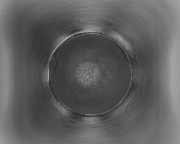 X0000111581276200907301357