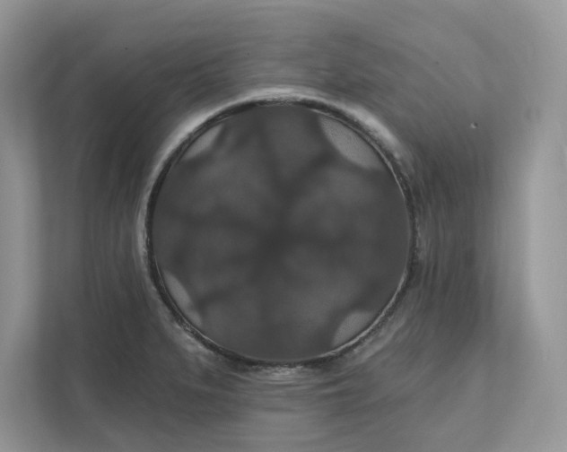 X0000111581279200907301357