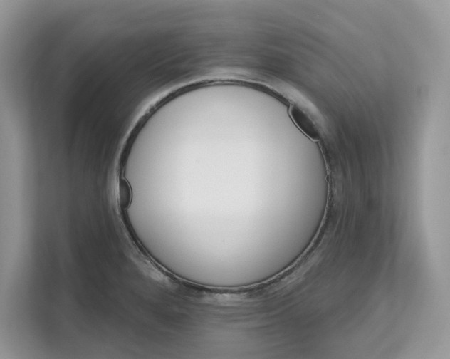 X0000111581280200907301357