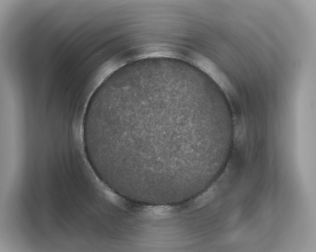 X0000111581282200907301357