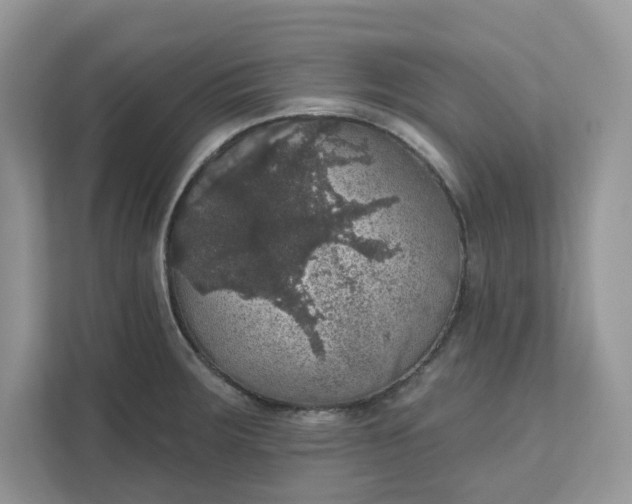 X0000111581283200907301357