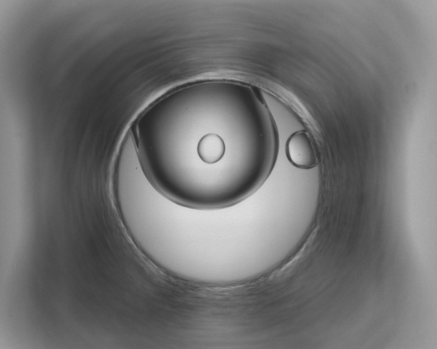 X0000111581284200907301357