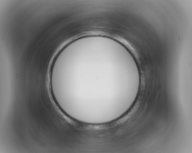 X0000111581286200907301357