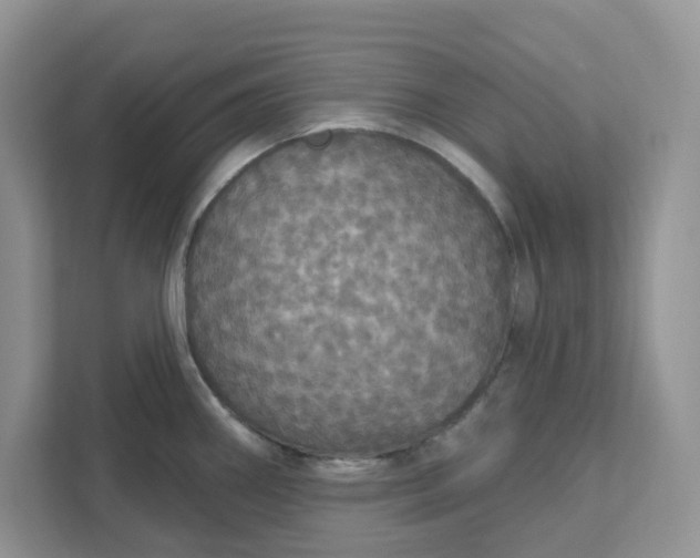 X0000111581290200907301357