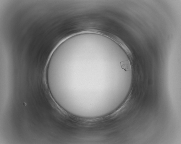 X0000111581292200907301357