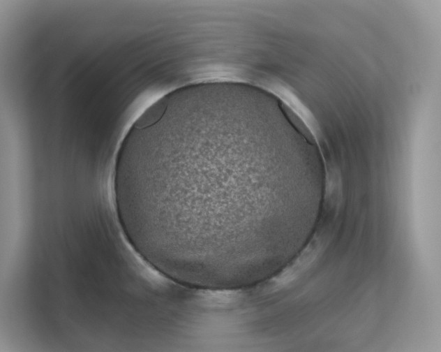 X0000111581293200907301357