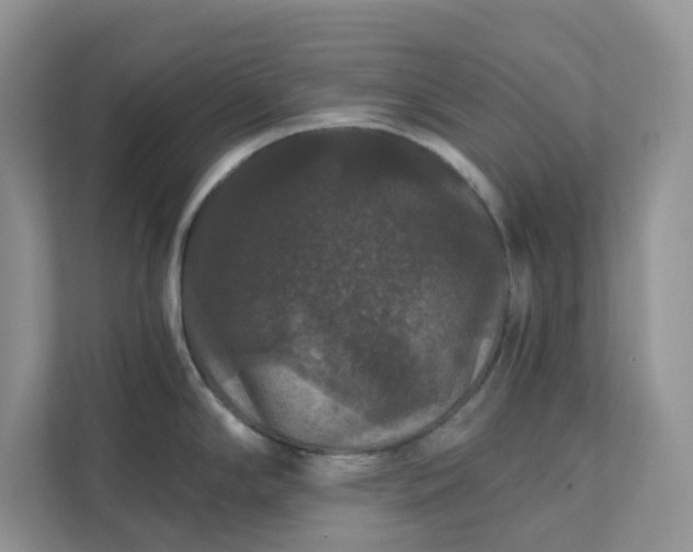 X0000111581294200907301357