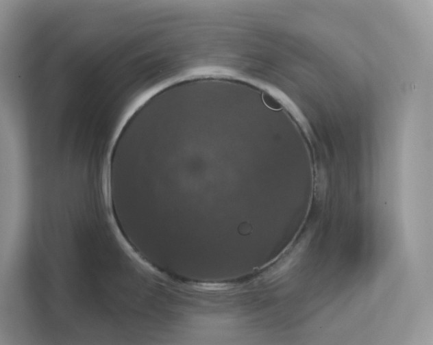 X0000111581295200907301357