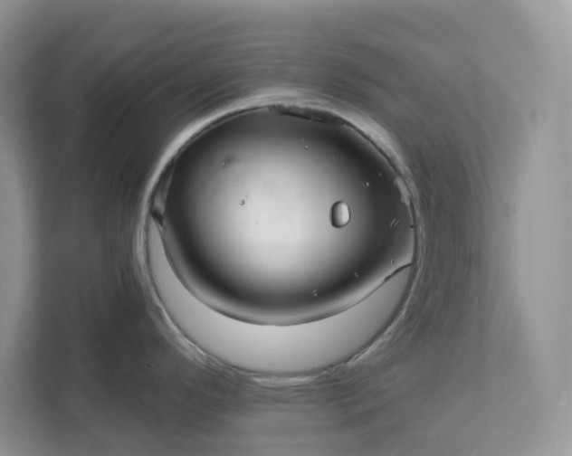 X0000111581296200907301357