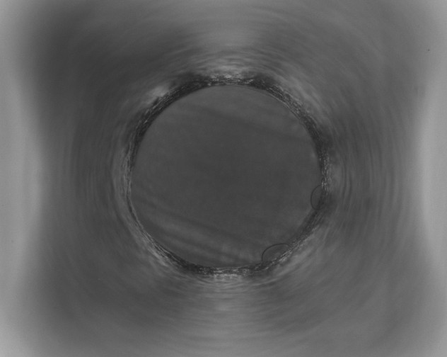 X0000111581297200907301356