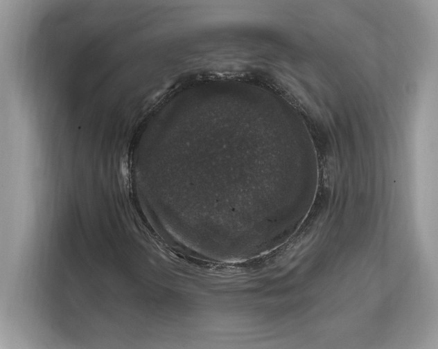 X0000111581298200907301356