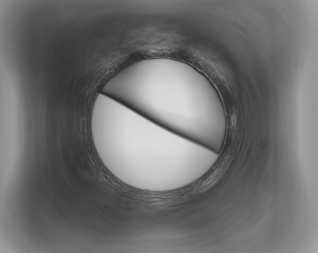 X0000111581300200907301356