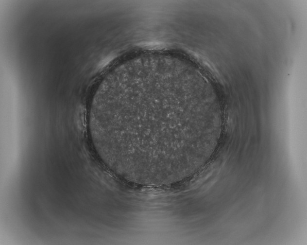 X0000111581301200907301356