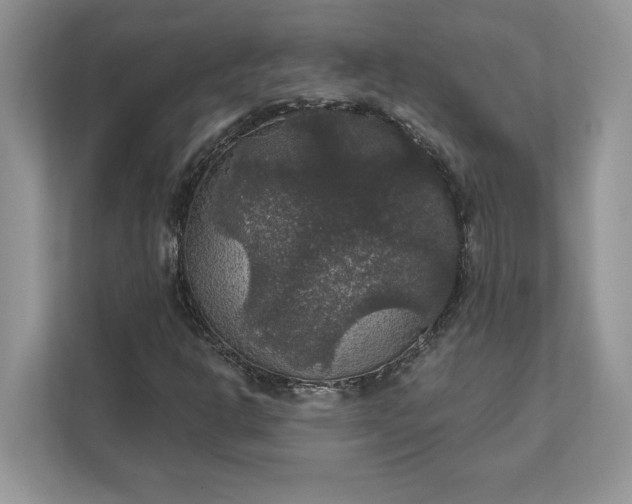X0000111581302200907301356