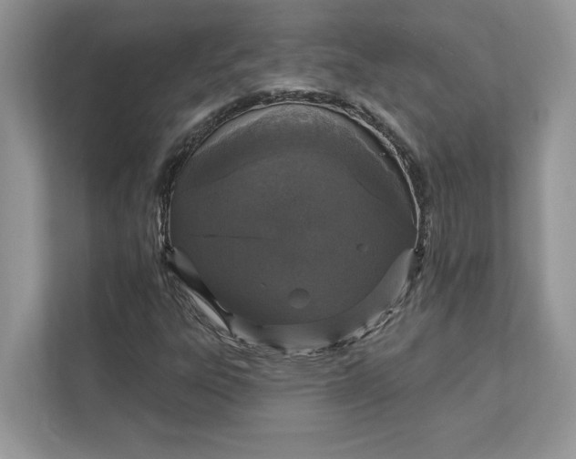 X0000111581303200907301356