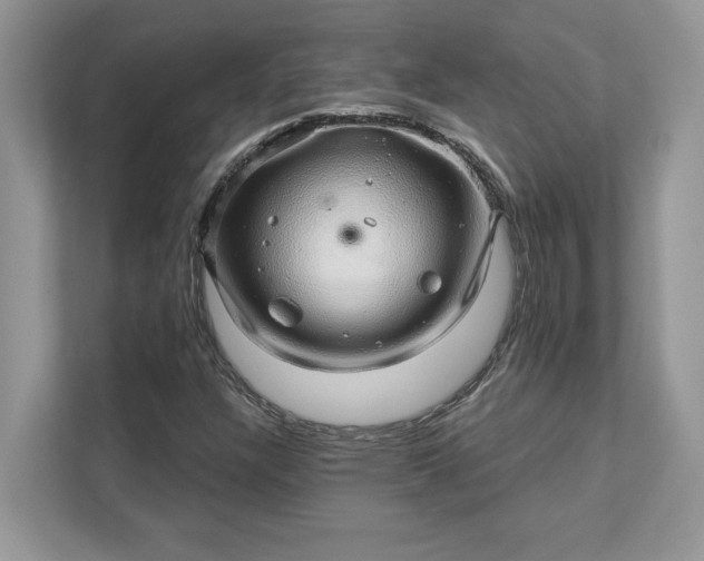 X0000111581304200907301356