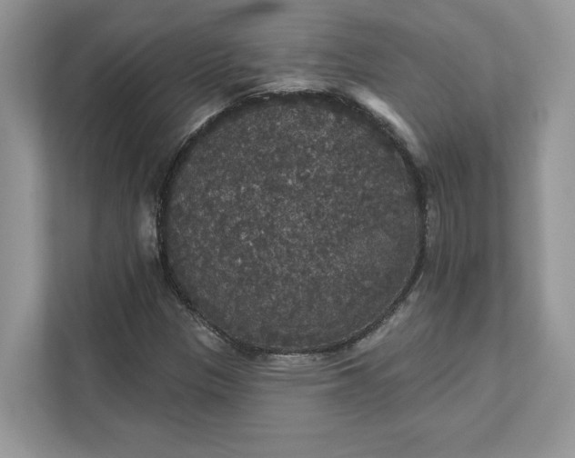 X0000111581305200907301356