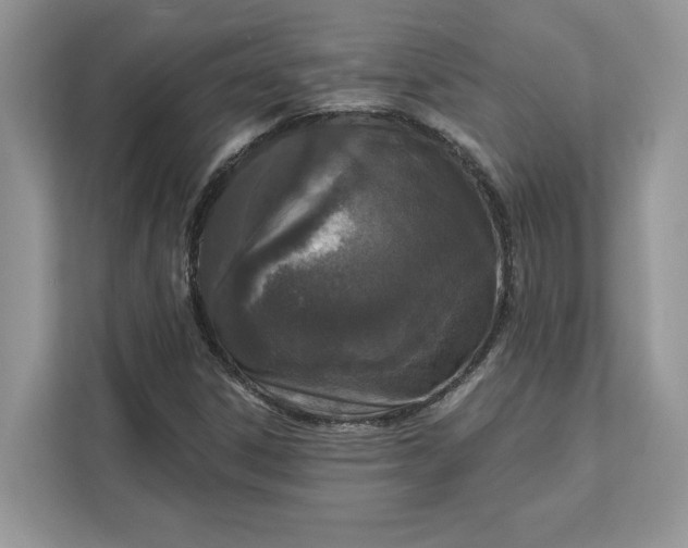 X0000111581306200907301356