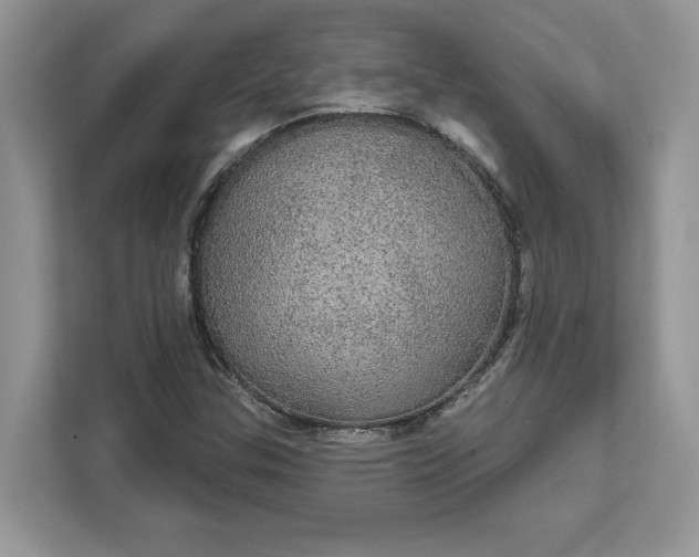 X0000111581307200907301356
