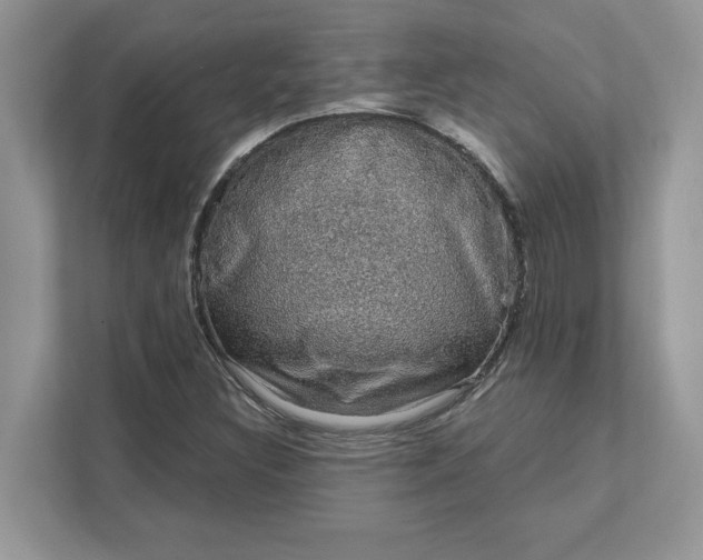 X0000111581308200907301356