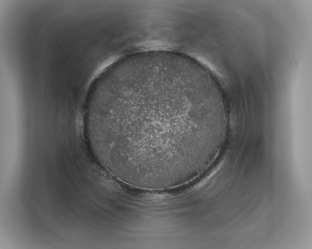 X0000111581309200907301356