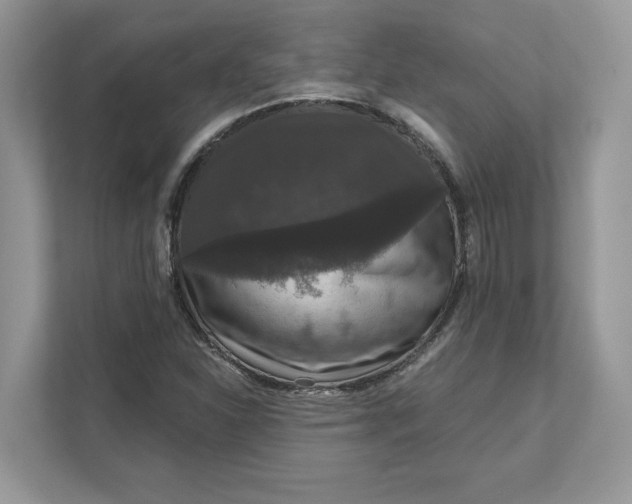 X0000111581310200907301356