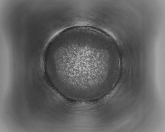 X0000111581311200907301356