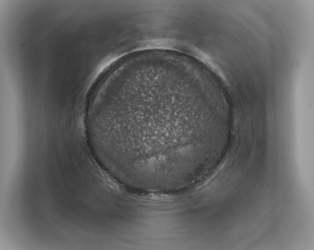 X0000111581312200907301356