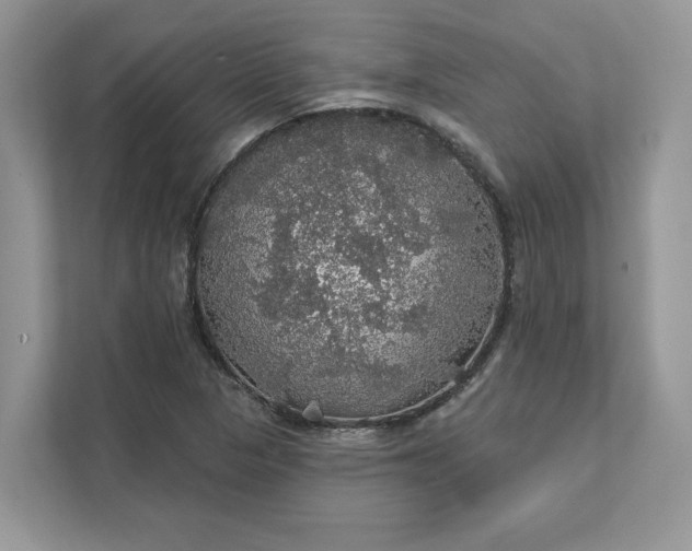 X0000111581313200907301356