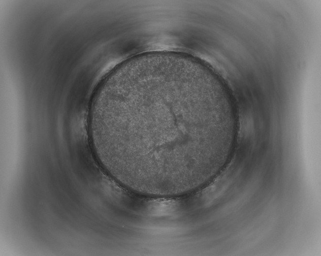 X0000111581314200907301356