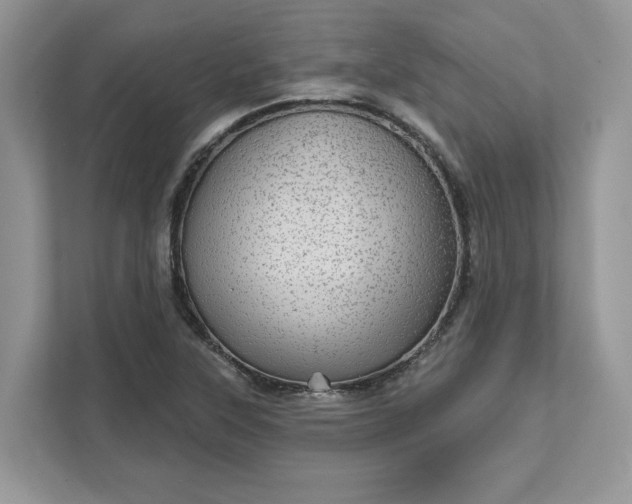 X0000111581315200907301356