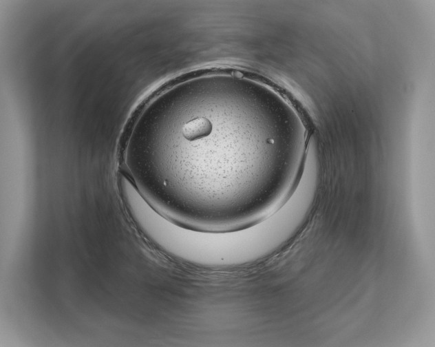 X0000111581316200907301356
