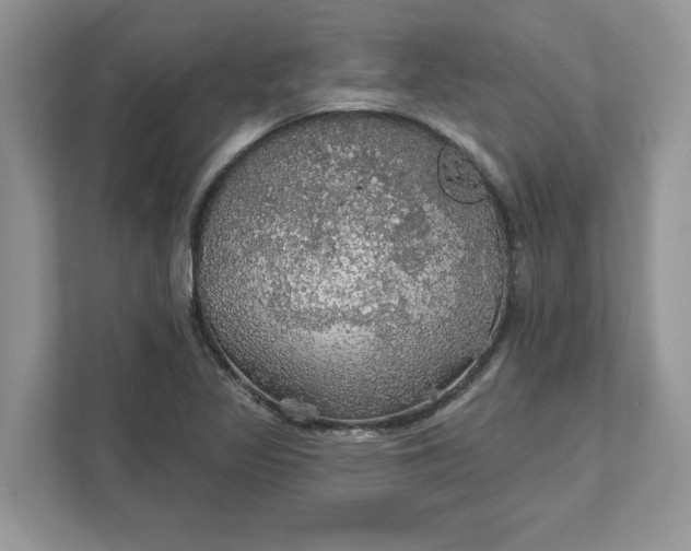 X0000111581317200907301356