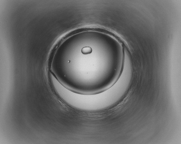 X0000111581319200907301356