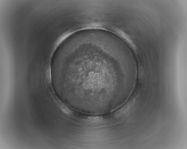 X0000111581320200907301356