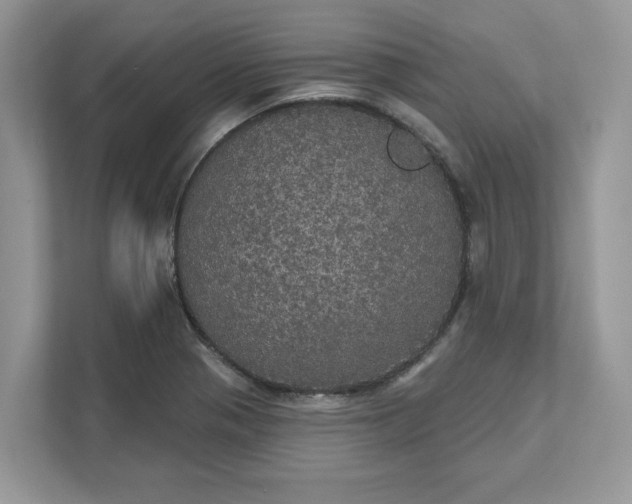 X0000111581321200907301356
