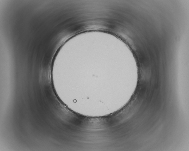 X0000111581322200907301356