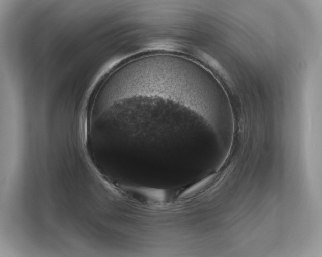 X0000111581323200907301356