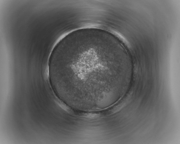 X0000111581324200907301356