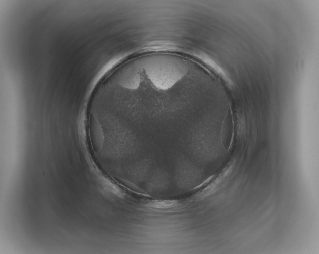 X0000111581325200907301356