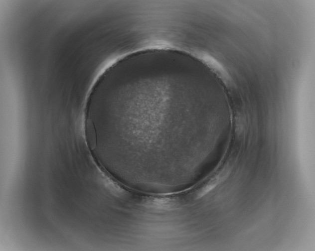 X0000111581326200907301356