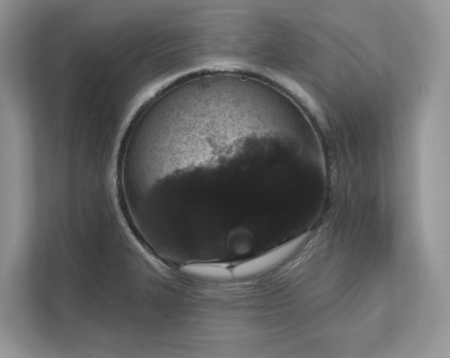 X0000111581327200907301356